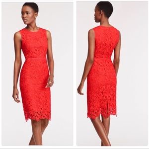 Ann Taylor orange lace sheath dress